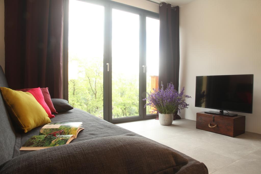 Apartments Lom Most Na Soci Room photo